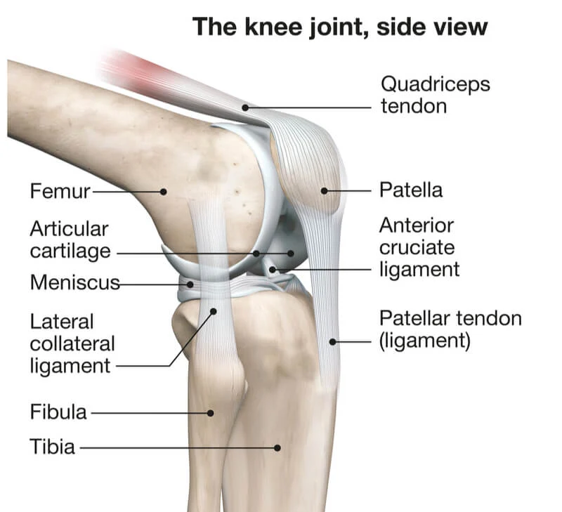 Chronic knee pain treatment in Brookfield