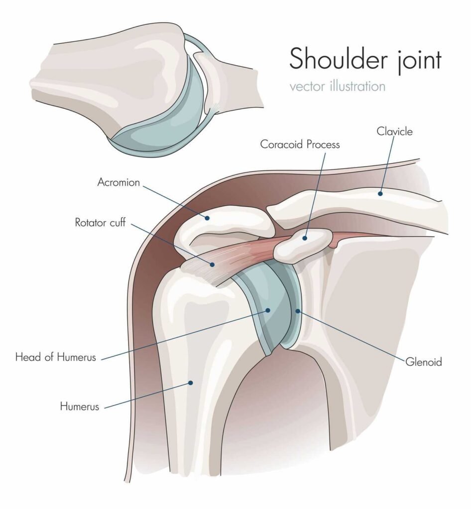 Shoulder dislocation rehabilitation in AECS Layout