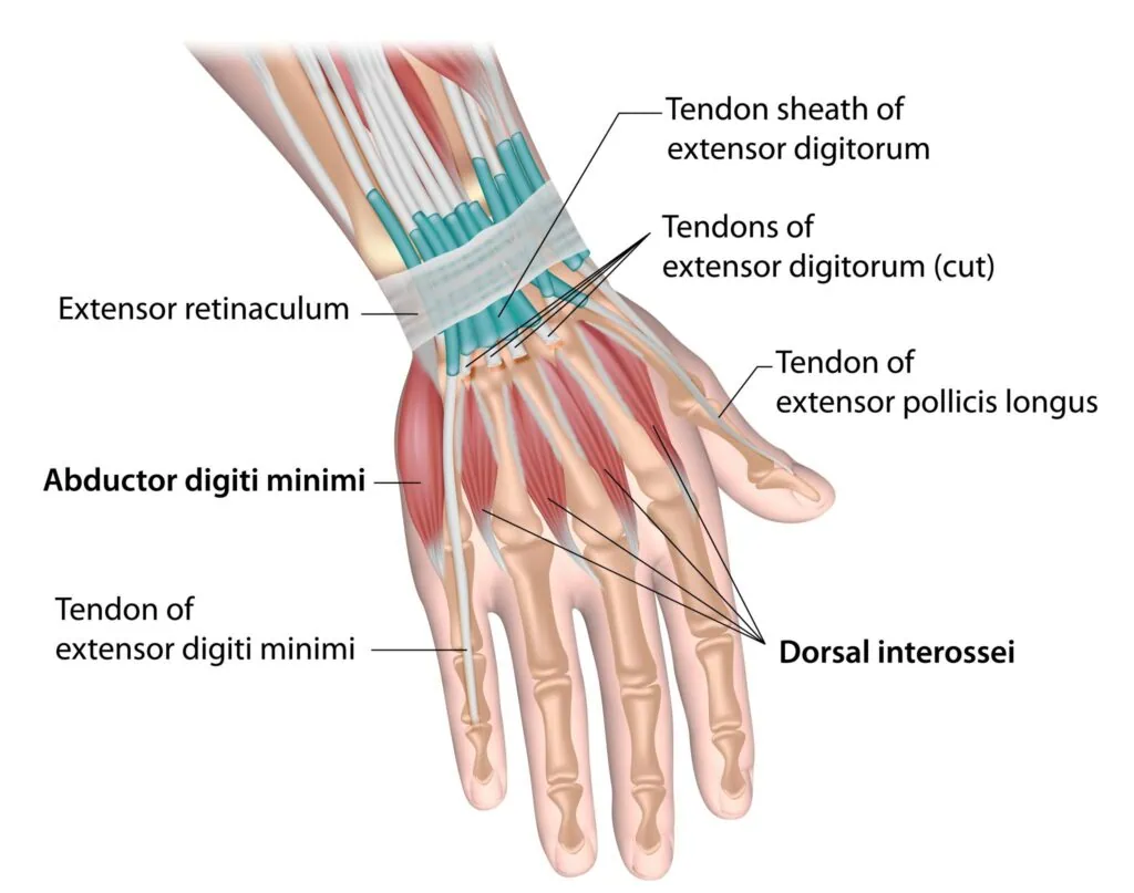 Top Clinic for DQT Wrist Pain Treatment in Kaggdaspura Bangalore